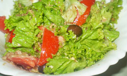 salat-s-tuncom
